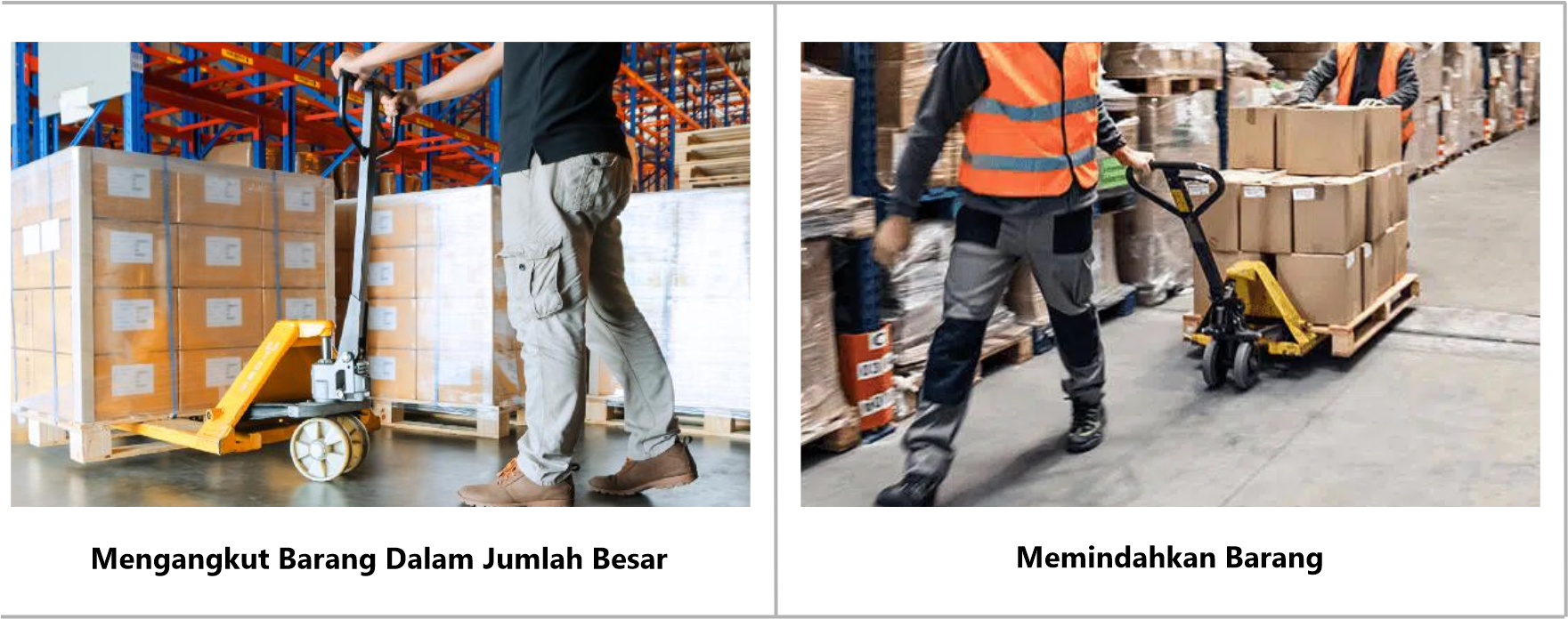 Fungsi hand pallet